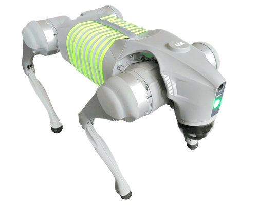 A photo of REG a robot dog with fluorescent stripes, standing