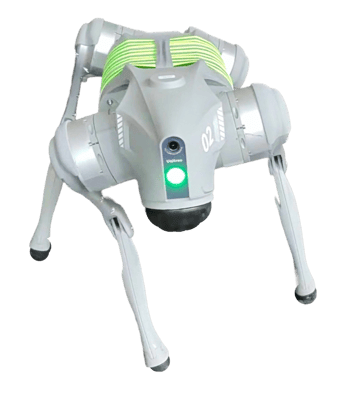 A photo of REG a robot dog with fluorescent stripes, standing and twisting